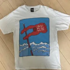 STUSSYTシャツ