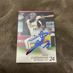 Item thumbnail for item e987f86c-f9d2-4f05-a447-ed174b4c14f0