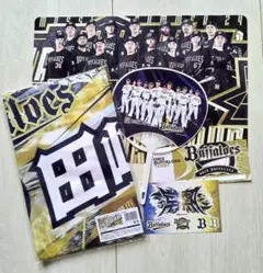 Item thumbnail for item 1c029bcb-102c-4d29-9193-f823098214e4