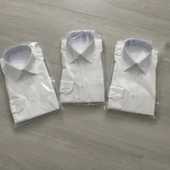 Item thumbnail for item 31b17460-1ba8-4ec2-aa73-0e07658bd87e