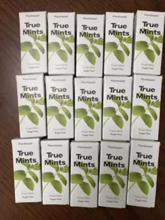 True Mints Fresh Mint 15箱セット