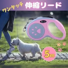 5m 犬用 伸縮リード 自動伸縮 巻き取り式 犬 散歩 ペット用品 ハーネス