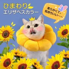 エリザベスカラー 猫用 犬用 ペット用品 傷舐め防止 去勢手術　傷口保護　M　黄