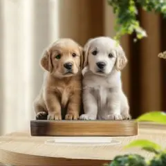 がっくん様 リクエスト 8点 まとめ商品