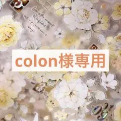 colon様 リクエスト 4点 まとめ商品