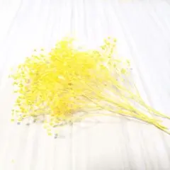 グリーン様 リクエスト 2点 まとめ商品