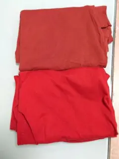 AZUL BY MOUSSY オーガニックコットン Tシャツ L 2枚セット美品