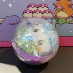 韓国限定 ポケモン ソンス ポップアップ ヘアピン プラスル マイナン