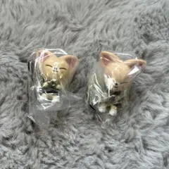 skzooつまんでつなげてますこっと フォクシニー