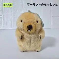 【匿名】マーモットのもっとっと ボバくん ぬいぐるみマスコット