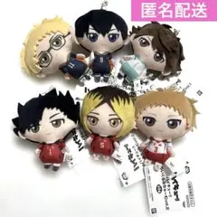 ハイキュー ぬいぐるみちゃーむvol.1 vol.2 6個セット プライズ