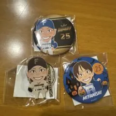 北海道日本ハムファイターズ 宮西尚生 グッズセット