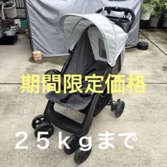 2026年最新】HAUCK ベビーカーの人気アイテム - メルカリ