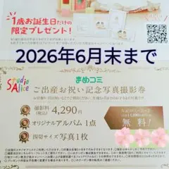 【翌日発送♪】スタジオアリス チケット