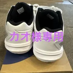 Item thumbnail for item 35110ff9-07c9-40b3-ab5f-491658d81ceb