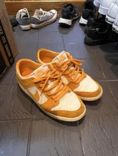 NIKE SB ZOOM DUNK LOW PRO CIRCUIT ORANGE