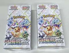 ポケモンカードテラスタルフェスex 2BOXシュリンク付