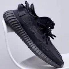 アディダス YEEZY Boost350 V2