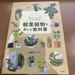 選び方・育て方のコツがわかる!観葉植物を楽しむ教科書/パコマ2026年7月