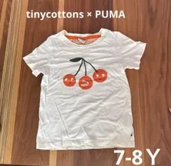 Item thumbnail for item 5741ea3c-b9de-4c8a-9341-56ef5c60f442