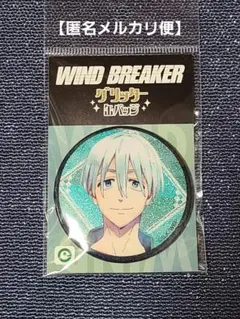【梅宮一】WIND BREAKER ウィンブレ グリッター缶バッジ