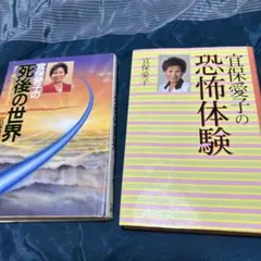 A〜53 宜保愛子 著書 きれいな2冊セット - メルカリ