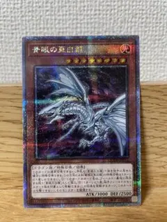 メ*矢様 遊戯王　青眼の亜白龍+α
