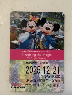 ディズニー リゾートライン フリーきっぷ イマジニング　ザ　マジック 蜷川実花