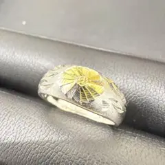 Item thumbnail for item 4ea500e8-f612-4504-9d67-dbeb0b421a66