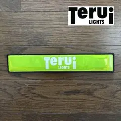 Item thumbnail for item 4fb38f0a-82b7-4f86-81a7-650d3d1f6abe