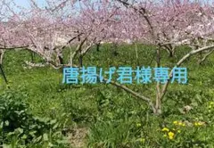 唐揚げ君様専用