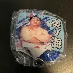 【新品未開封】大相撲ガチャ ストラップ付きフォンタブ 美の海