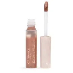 CANMAKE キャンメイク アイカラーマジシャン 01 思い出の喫茶店l