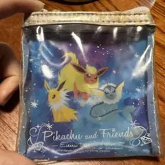 ポケモン　ブイズ　ケース