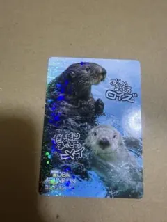 鳥羽水族館 ラッコ メイちゃん コレクションカードvol.2 コレカ レア