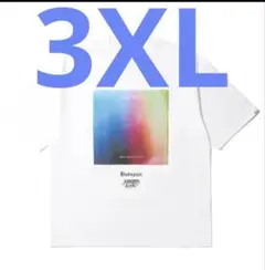 APHRODITEGANG BUDSPOOL 舐達麻　SILENT PICNIC