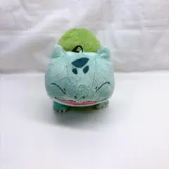 ポケットモンスター アドバンスジェネレーション フシギダネ