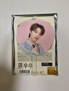 SEVENTEEN セブチ　ディノ　ミニピケット　Holiday