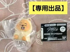 【専用出品】 ライトマスコットリクエスト2点 まとめ商品