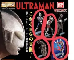 【新品未開封】HGシリーズ 恐怖の怪獣魔境編 4種5体セット