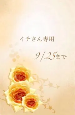 イチさん専用 9/25まで