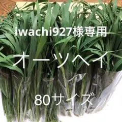 Item thumbnail for item 765521a8-dffd-4e98-8afa-ca5f31f770bc