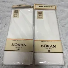 Item thumbnail for item 6ffd9720-9c88-4bdc-8e2d-56429e9eaa35