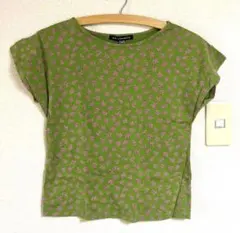 Item thumbnail for item 57c2e4f5-9c34-4064-a972-3f515096e0df