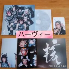 XG　開封済　トレカ付き　Regular　通常盤　ハーヴィー