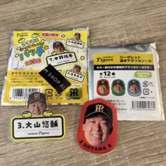 大山悠輔　アクリルネームクリップ　アクリルシール