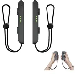 Switchコントローラー付属品