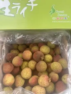 <ライチご依頼専用ページ>鹿児島県産ライチ18〜21粒 国産ライチ 農薬不使用 ライチご依頼専用ページ>鹿児島県産ライチ18〜21粒 国産ライチ 農薬不