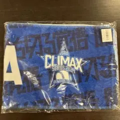 横浜DeNAベイスターズ 応援タオルのサムネイル