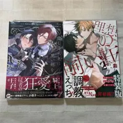 愛しき未来に黒い剣を　職場のイケメン営業は理想の飼い主様　2 特装版小冊子付き
